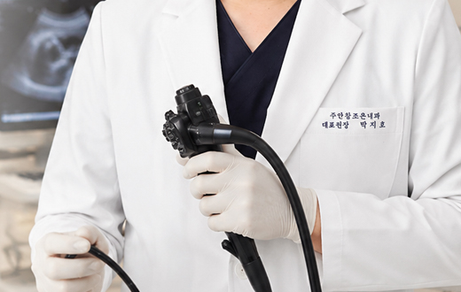 정밀 소화기 내시경 검사